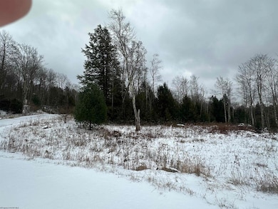 Lot 85 Gondola Ct, Davis, WV 26260 - photo 3