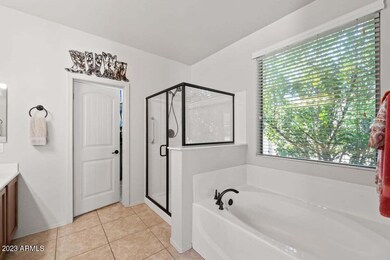 11020 E Quarry Ave, Mesa, AZ 85212 - photo 5