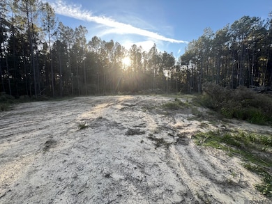 14333 Springfield Rd, Walker, LA 70785 - photo 7