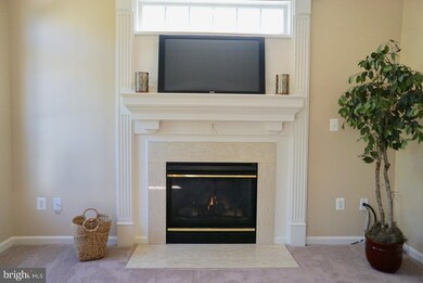 832 Crystal Palace Ct, Owings Mills, MD 21117 - photo 5