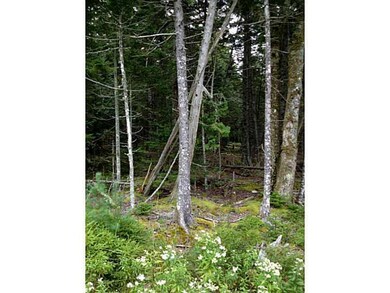 Land. Mix of young and mature trees...