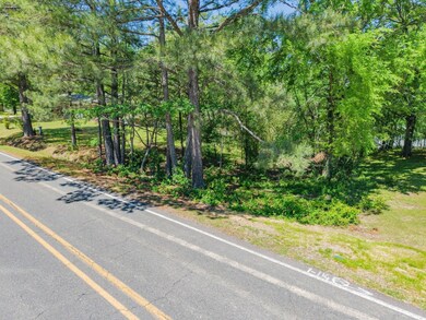 0 Marion Anderson Rd unit 25703820, Hot Springs, AR 71913 - photo 7