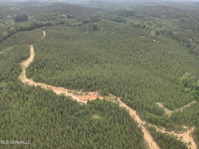 DJI_20230524154431_0006_V