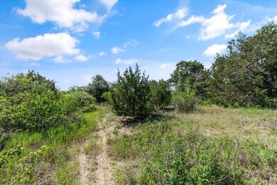 106 Valley View Ct, Springtown, TX 76082 - photo 5