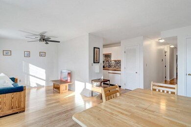 306 Tappan St unit E, Brookline, MA 02445 - photo 5
