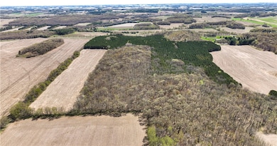 0 Highway 93 unit 1589347, Eleva, WI 54738 - photo 7