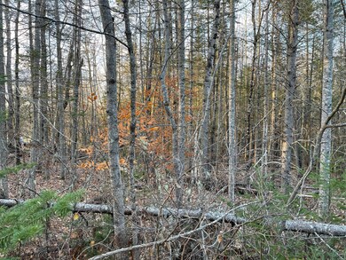 00 Arno Rd, Dexter, ME 04930 - photo 7