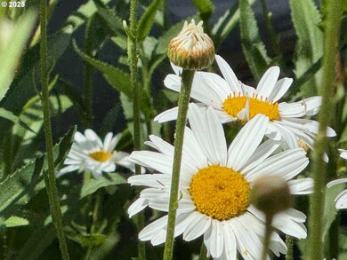 20284 El Romar Dr NE, Scotts Mills, OR 97375 - photo 4