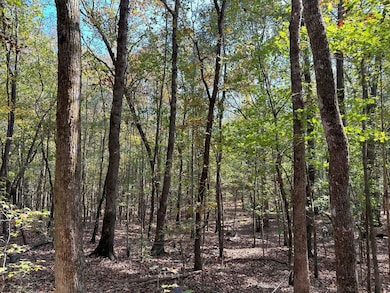 50 Hearthstone Dr, Carlton, GA 30627 - photo 3