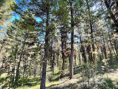 0 Tbd 1-3 Horsethief Rd, Cascade, ID 83611 - photo 6