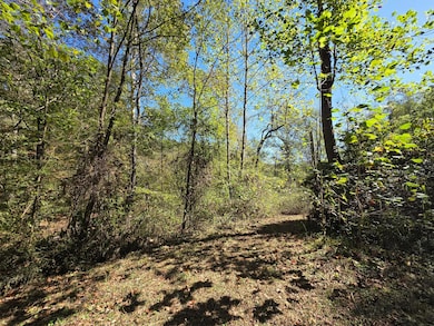 0 Newells Run Rd, Marietta, OH 45750 - photo 5