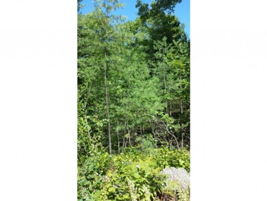 Lot 6 Barend, Wakefield, NH 03872 - photo 2