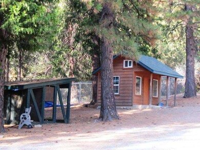 CHICKEN COOP ON LEFT AND PLAYHOUSE ON THE RIGHT, T