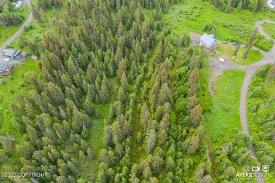 34960 Seabury Ct, Anchor Point, AK 99556 - photo 6