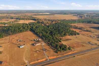 733 Pitts Rd, Hawkinsville, GA 31036 - photo 6