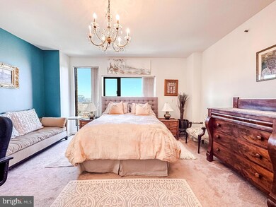 The Towers at Harbor Court unit 807, Baltimore, MD 21202 - photo 5