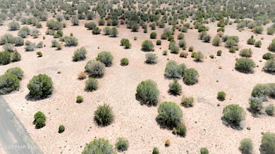 5 Aerial_NE Corner_edited