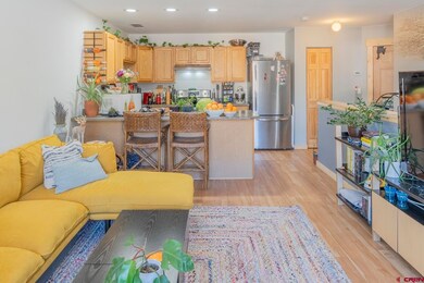 503 Red Lady Ave unit 103, Crested Butte, CO 81224 - photo 5