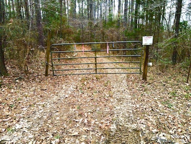 0 Pea Ridge Rd unit 4101611, Harrisville, MS 39082 - photo 5