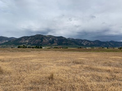 IMG_1488