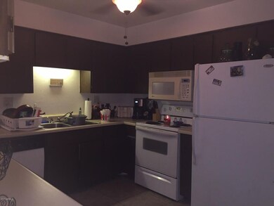 141 N Date 38 kitchen 2