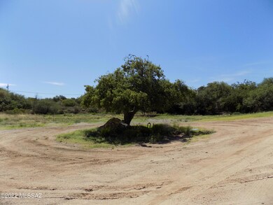 1125 N John Adams St unit 10-14, Oracle, AZ 85623 - photo 2