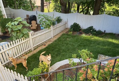 293 Cross St, Winchester, MA 01890 - photo 5