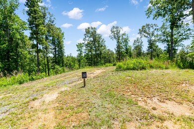 Driveway cut in to flat area to build the home - e