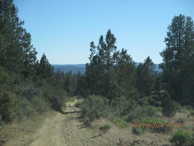 0 Little Fawn Dr unit 10, Chiloquin, OR 97624 - photo 4