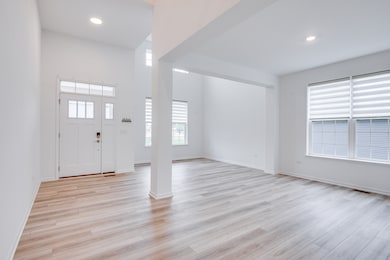 205 Tinana St, Oswego, IL 60543 - photo 4