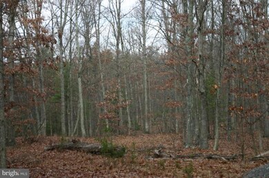 0 Snake Hill Rd, Middleburg, VA 20117 - photo 2