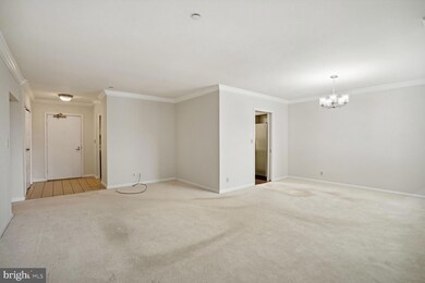 5501 Seminary Rd unit T12S, Baileys Crossroads, VA 22041 - photo 7