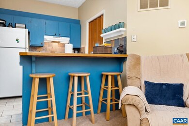 460 Three Ridges Condos, Wintergreen, VA 22967 - photo 5