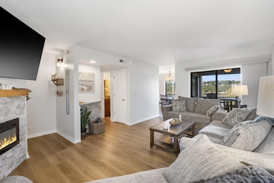 361 Anchors Point Ln unit 301, Kimberling City, MO 65686 - photo 4