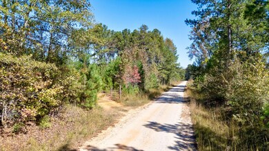 0 Bridges Rd, Carlton, GA 30627 - photo 3