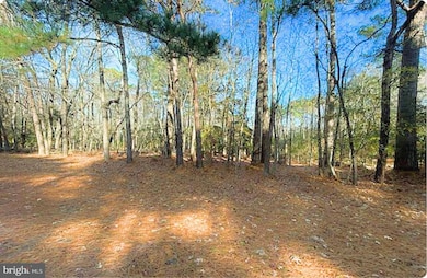 Lot 18 Peaceful Way, Exmore, VA 23350 - photo 6