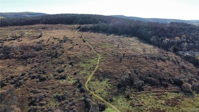 0 Starr Rd unit S1525788, Cortland, NY 13045 - photo 5