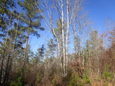 659 Old Mansion Rd, Lunenburg Court House, VA 23952 - photo 4