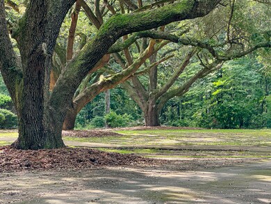 4446 Char-Augusta Rd, Bamberg, SC 29003 - photo 3