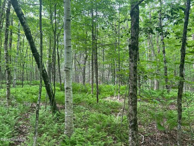 0 Johnny Cake Hill Rd unit 246420, Middlefield, MA 01243 - photo 2