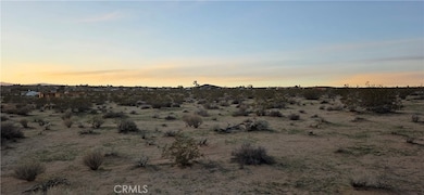 0 Campanula St unit JT25267927, Joshua Tree, CA 92252 - photo 4
