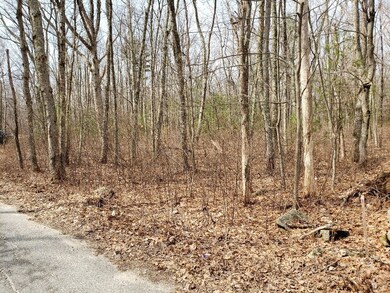 0 Paris Irons Rd, Glocester, RI 02814 - photo 5