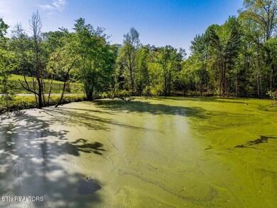 1140 Crestview Dr, Pigeon Forge, TN 37863 - photo 5