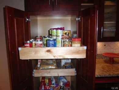 Pull out shelves in pantry cabinet