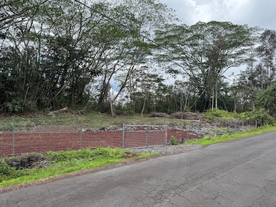 14-657 Kapuna Rd, Nanawale Estates, HI 96778 - photo 3