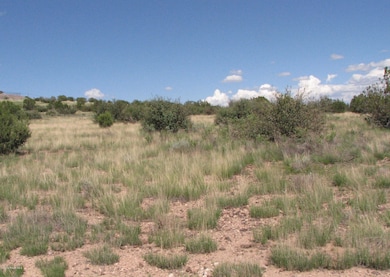 206b Bixler Trail, Ash Fork, AZ 86320 - photo 5