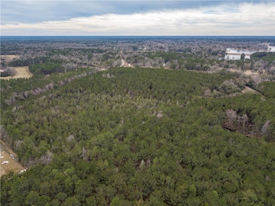 0 Louisiana 21, Bush, LA 70431 - photo 5