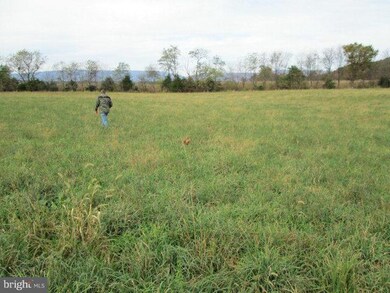 0 Log Cabin Dr unit 1002381368, Stanley, VA 22851 - photo 4