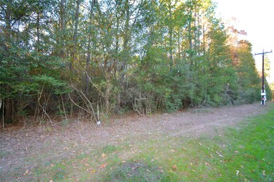 00 Little John Cir, Hockley, TX 77447 - photo 3