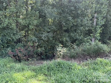 V/L Praley St SW, Valdese, NC 28690 - photo 3